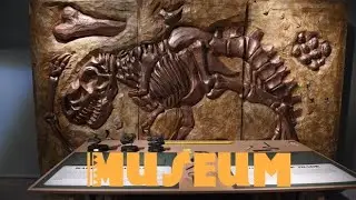 Reading Public Museum Tour || A Virtual Tour Of The Reading Public Museum