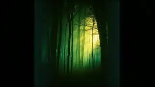 Pyörre