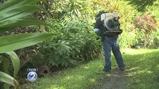 CDC expresses concerns in new report about dengue fever outbreak