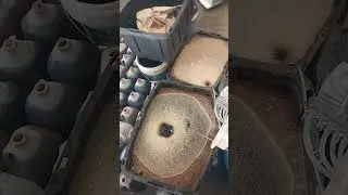 Liquid Gold Compost Tea