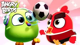 Angry Birds | SPORTS Day! ⚽️🏀