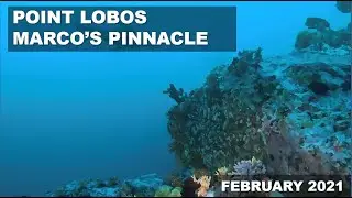 Diving Marco's Pinnacle, Point Lobos, February 2021