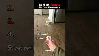 Ranking Fastest Reflexes Moments #shorts