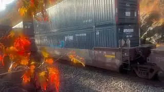 CSX #5311 stacks NBD  @ Hudson Riverline MP51  11/25