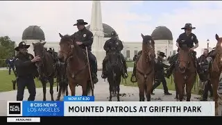 LAPD steps up mounted patrols at Griffith Park