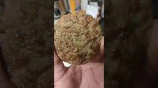 Another day McDonald's breakfast meat Being left out and still not molding .... Is it Fake ?