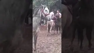 Эр эңиш Кара-Суу