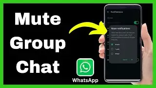 How to Mute a Group Chat on WhatsApp - Quick Tutorial