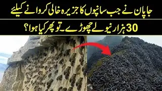 What NASA Says About Mongoose And Snakes #facts #myvoiceofurdu 
