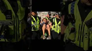 Palestine Action is not a terrorist organisation - High Court 英高等法院判定巴勒斯坦行动不是恐怖组织