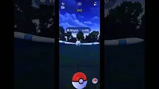 I Got a Wingull ⭐1 in Pokemon GO Indonesia | Gameplay | #shorts #pokemongo #pokegoworthy