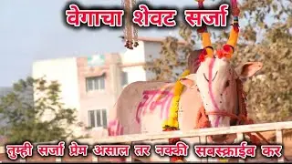 || सर्जा वेगाचा शेवट सर्जा कोकणात चिपळूण मध्ये कोकण दर्शना साठी|| कृषी मोहत्सव प्रदर्शन २०२६ #कोकण #