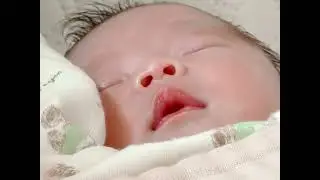 한일부부 오늘도귀여워
