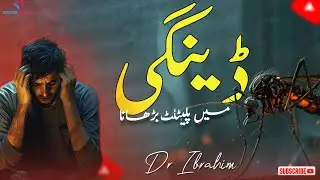 Low Platelets in Dengue? Dengue Fever Mein Platelets Kaise Barhayein? Herbal Remedies by Dr Ibrahim