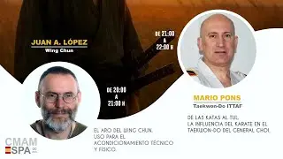 EL ARO DEL WING CHUN & HISTORIA DE LOS TUL EN TAEKWON-DO ITF