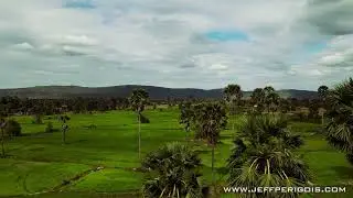 Over the rice fields, Cambodia