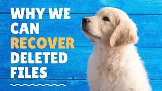 Why we can recover deleted data?