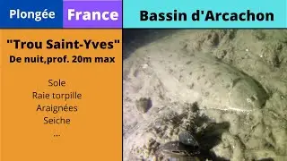 🤿 Plongée de nuit- Bassin d'Arcachon - trou Saint-Yves