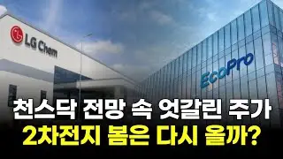 천스닥 전망 속 엇갈린 주가...2차전지 봄은 다시 올까?
