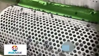 Blueberry sorting machine