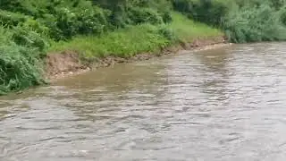 Muthirapulla River MUNNAR Monsoon Flood