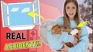 ACCIDENTE MI GATA SE CAE 😭 LA LLEVO AL HOSPITAL 🏥 LA OPERAN DE URGENCIAS DANIELA SE PONE MUY TRISTE