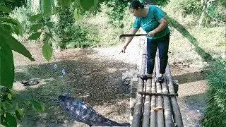 Daily life HT:Crossing the bamboo bridge, I saw a fish that waved and caught it