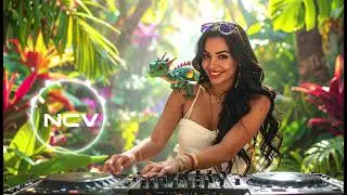 Emerald Isle Remix &ndash; Celtic Guitar DJ Fusion | Irish Folk Dance Vibes | NCV - Copyright Free Music