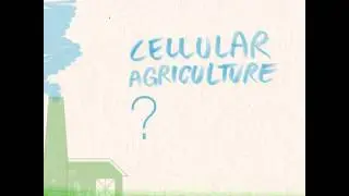 What is Cellular Agriculture?