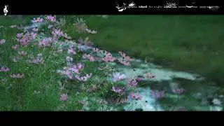 SounEmot - Your Eternal Smile (Joseph AR Proglifting Remix)(High Reshive) Progressive Trance