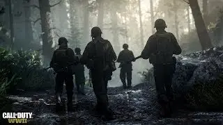 Call of Duty WORLD WAR 2 On Nvidia MX150 in MEDIUM PRESET ( Acer Aspire A515-51G )