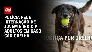 Cão Orelha: Polícia pede internação de jovem responsável pelo assassinato | CNN NOVO DIA