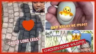 WITH HIM VLOGS - LDR VIRTUAL DATE | teamtriple1ldr
