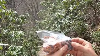 Mt. Cammerer Loop Hike (HD)