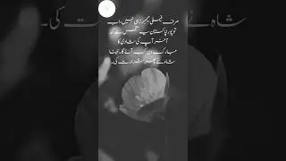 Urdu Novels That Feel Like Late-Night Thoughts