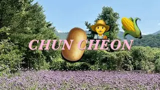 🥔춘천 vlog | 춘천 토박이의 삼시세끼 농촌생활 & 찐맛집 또간집  | 후레쉬닭갈비, 삼교리동치미막국수, 감자밭, 고구마수확, 강원도 춘천 현지인 맛집