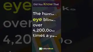 Did You Know Facts ? | The Amazing Fact Video 2 | Culture Book #shorts
