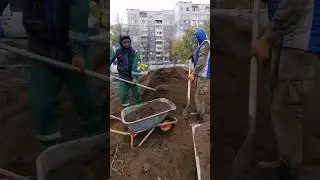 document 5307584210595224944
