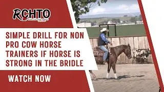 Simple Drill For Non Pro Cow Horse Trainers If Horse Is Strong In the Bridle