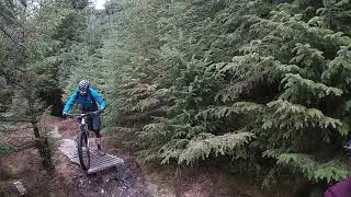 Biking.ie Coaching