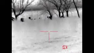 Thor 4 on 300 blackout 168 grain &ldquo;Oklahoma pig thermal &ldquo;