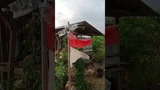 nyore di kebun calon cabe sniper