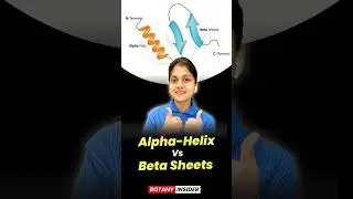 Alpha Helix vs. Beta Sheet | Protein Structure Explained in 1 Minute@BotanyInsider