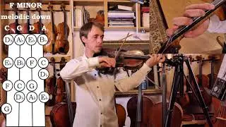 Viola F melodic minor scale, Introduction and slow work through (♩ = 40)  STUDENT