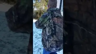 Wild animal removal