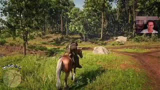 RDR2. Story. chapter 2. Tips to getting started. Live play through.