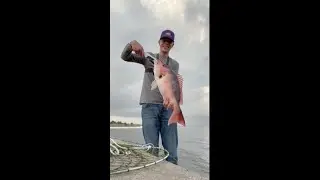 Catching BIG Red Snapper from shore! (Fishing NAS Pensacola)
