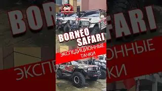 Парочка очень интересных восьмидесяток 🤩 Тойота Ленд Крузер 80 для #borneosafari 2024 #spalnik4x4