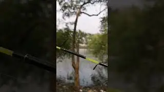 Super duper lentur. Rekomendasi banget buat mancing ikan ikan kecil dan terutama untuk mancing udang
