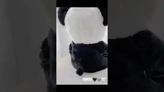 Panda soft toy 🖤🩶🤍 oakesleisure.co.uk